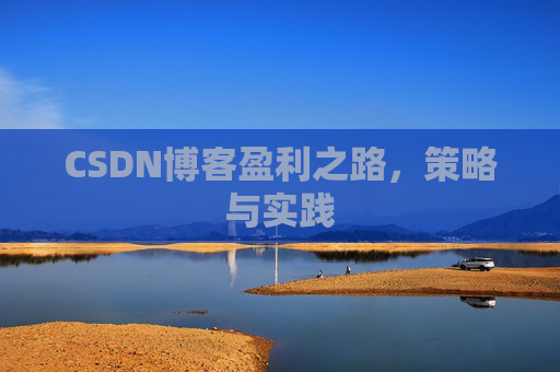 CSDN博客盈利之路，策略与实践
